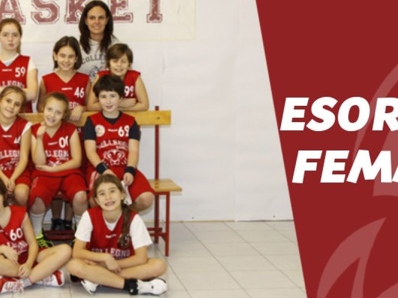 ESO-F: Continua il cammino