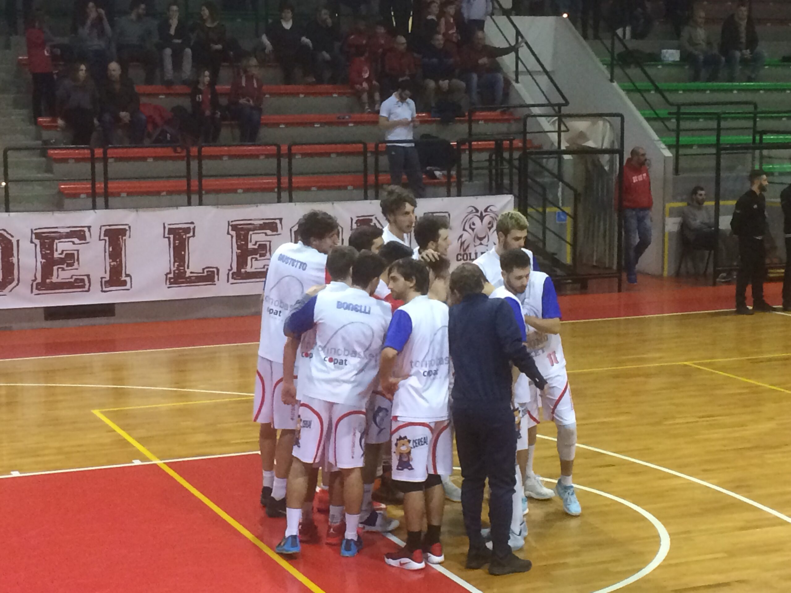 CGOLD: I Leoni ruggiscono di nuovo