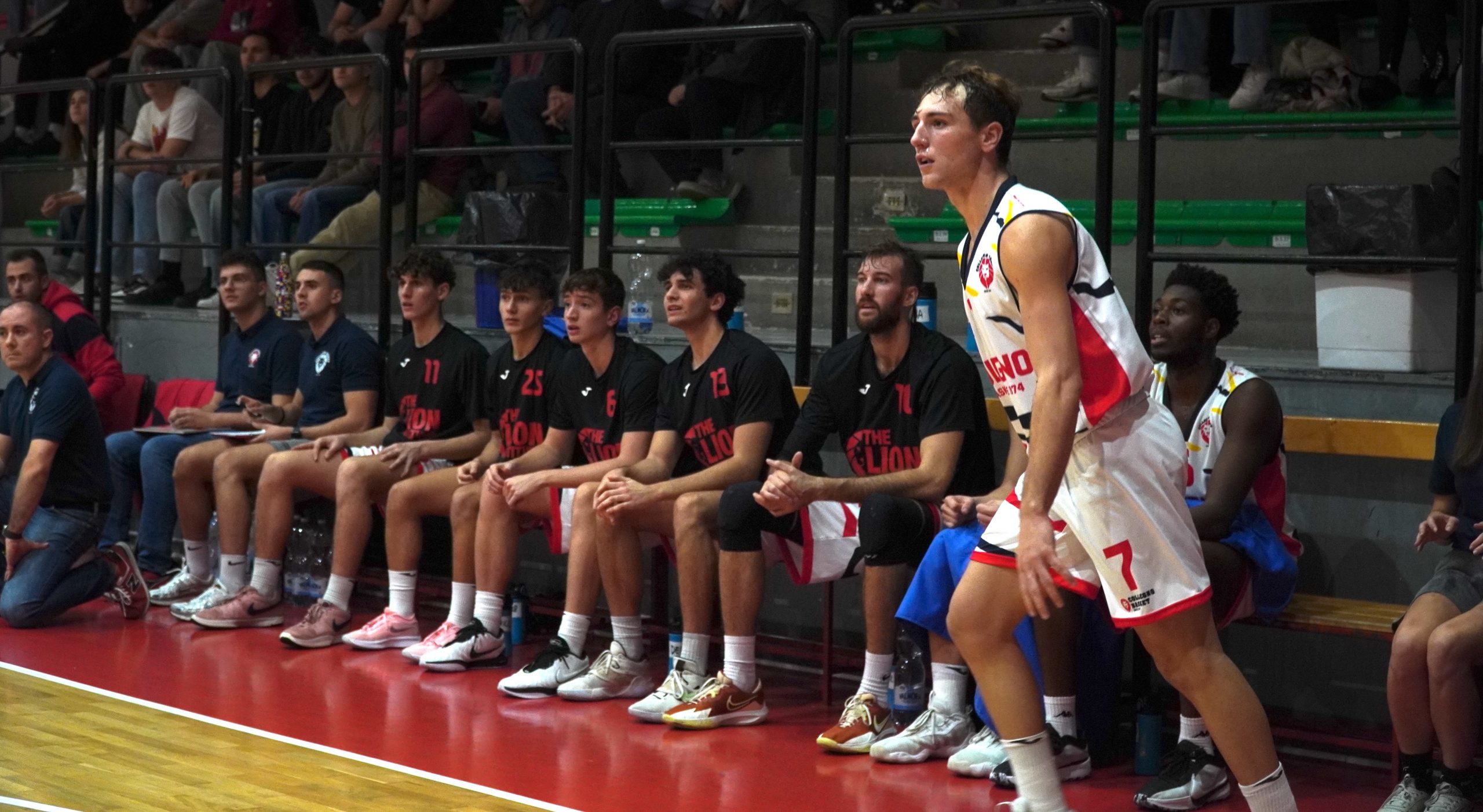 SERIE B INTERREGIONALE | COLLEGNO BASKET OSPITA GAZZADA!