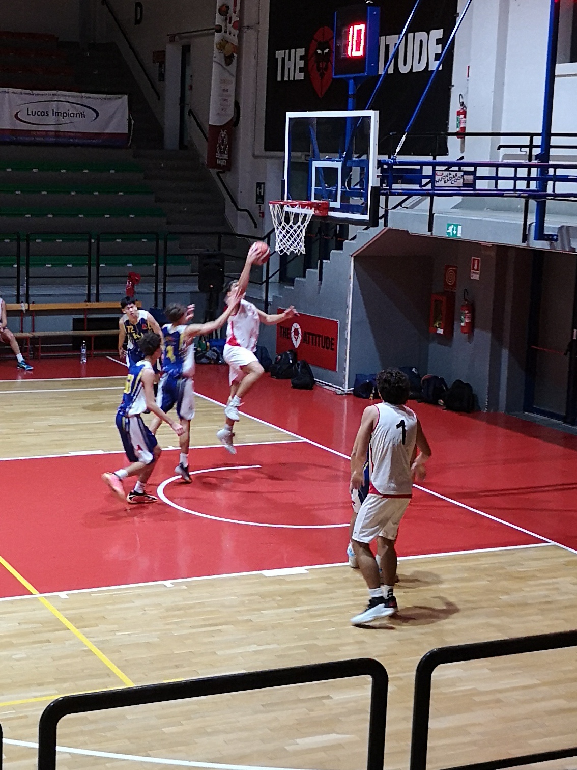 U19 Gold | Collegno Basket sconfigge Area Pro 79-63