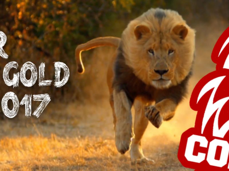 Ecco il roster della C Gold