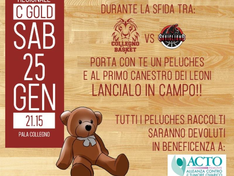 TEDDY BEAR TOOS A FAVORE DI ACTO PIEMONTE