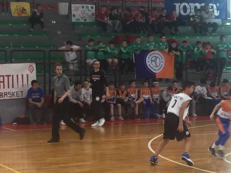 TORNEO NAZIONALE CITTA DI COLLEGNO