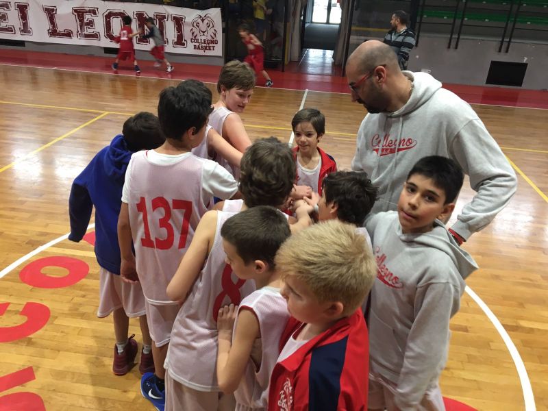 AQ-R: I Leoncini fanno sul serio!