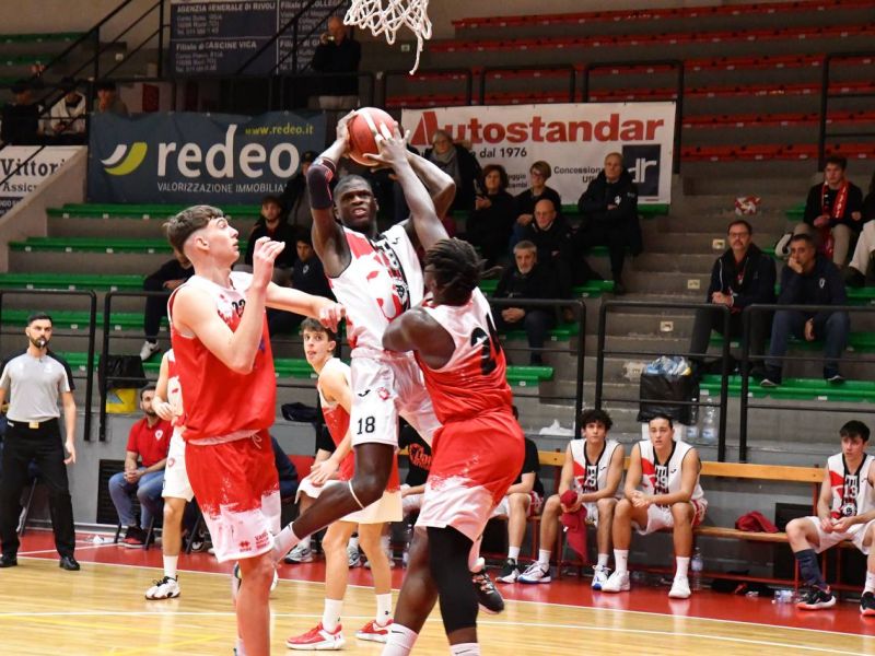 Serie B Interregionale | I Lions tornano alla vittoria al PalaCollegno contro Campus Varese