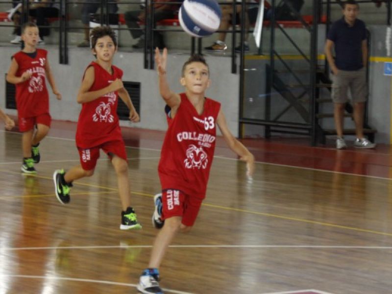 Si torna in campo!