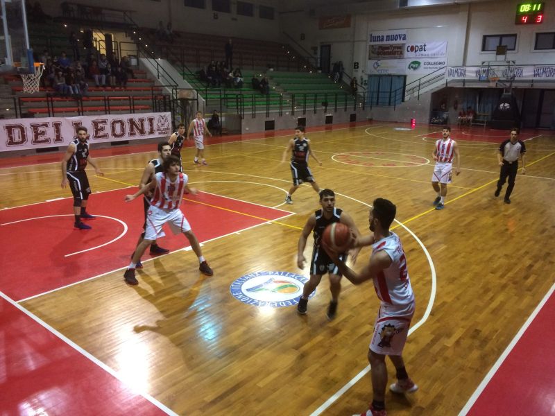 CGOLD: I Leoni tornano a ruggire