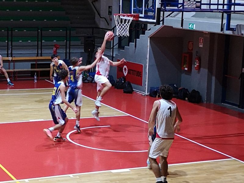U19 Gold | Collegno Basket sconfigge Area Pro 79-63