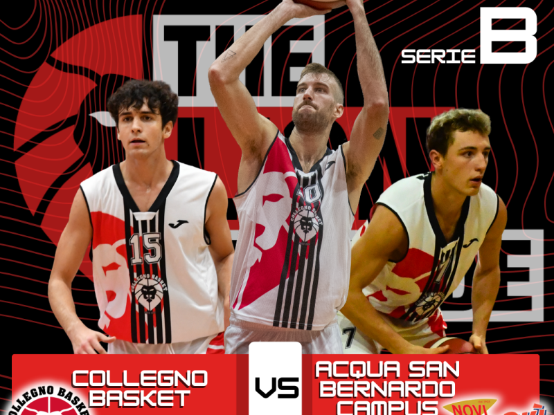 Serie B Interregionale | I Lions ospitano Campus Piemonte alle 19