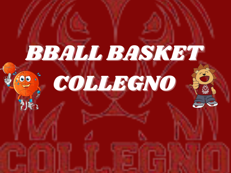 BBALL BASKET CAMP