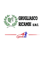 Grugliasco Ricambi – 4R