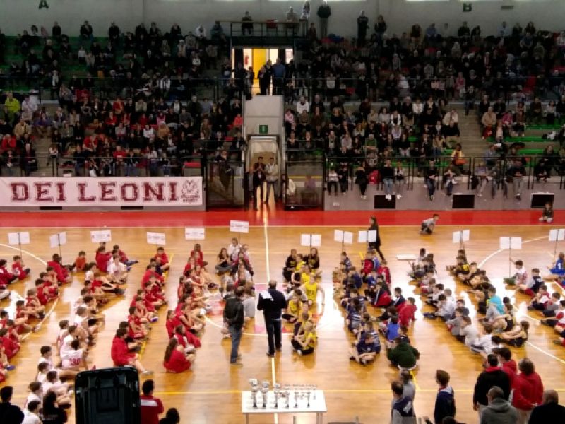 1^ Torneo Città di Collegno: Che spettacolo!