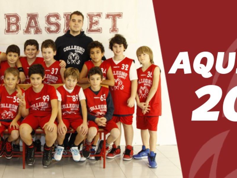 AQ04: Settimana positiva per i leoni