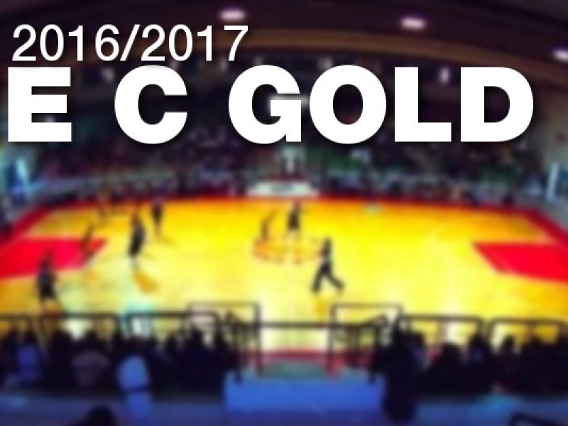 Ufficiale: Serie C Gold