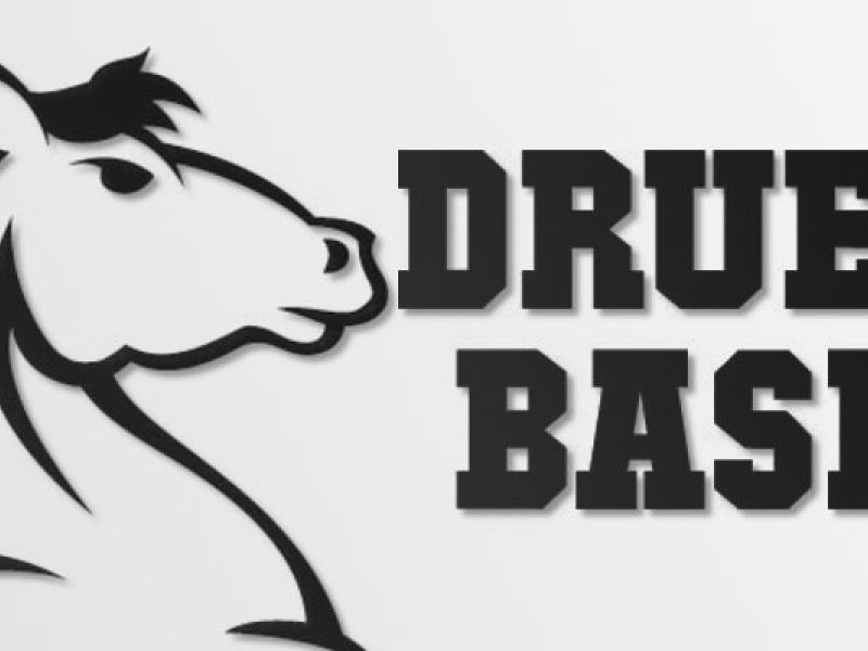 Nasce Druento Basket